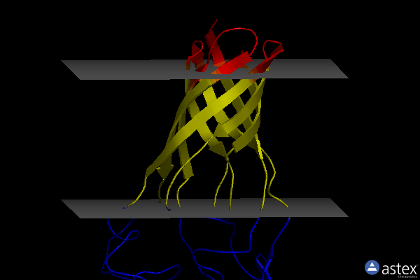 Membrane view of 2maf