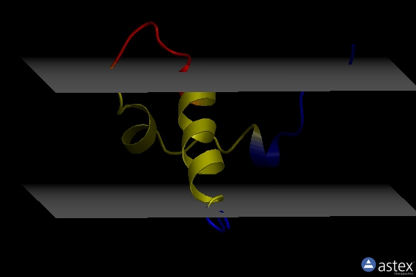 Membrane view of 2mdf