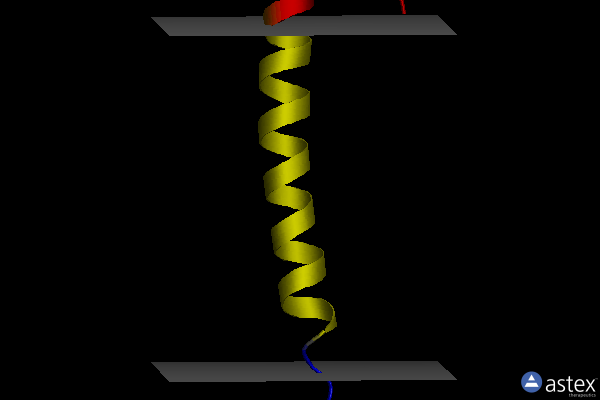 Membrane view of 2mjo