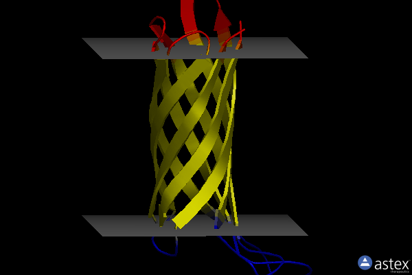 Membrane view of 2mnh
