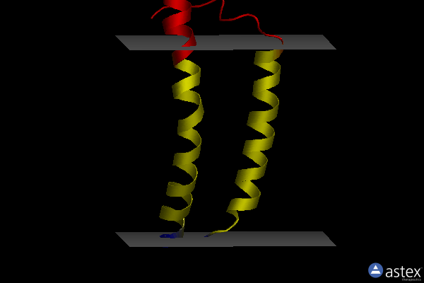 Membrane view of 2moz