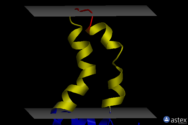 Membrane view of 2mts