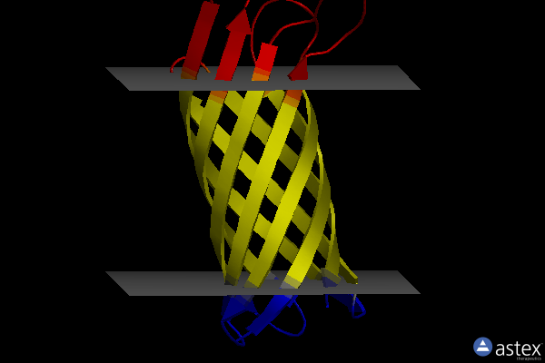 Membrane view of 2n2l