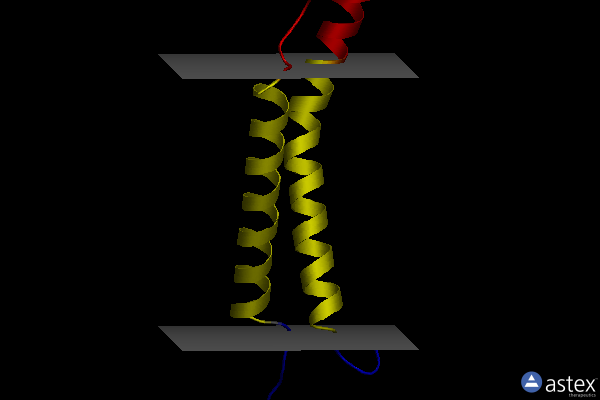 Membrane view of 2n9y