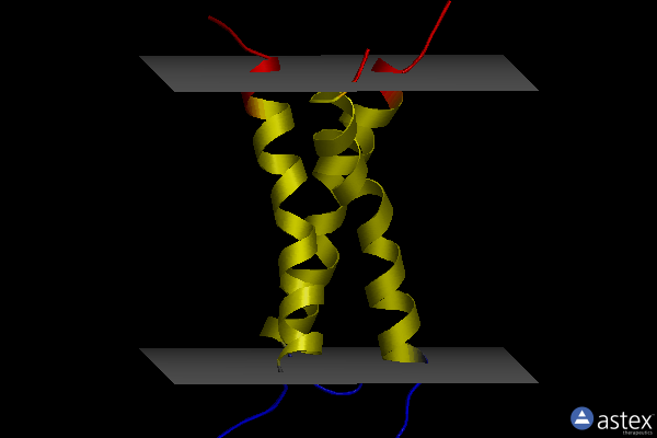 Membrane view of 2na6