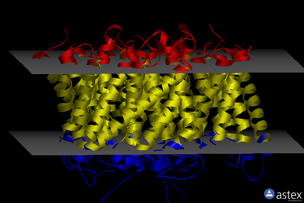 Membrane view of 2now