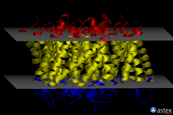 Membrane view of 2npd
