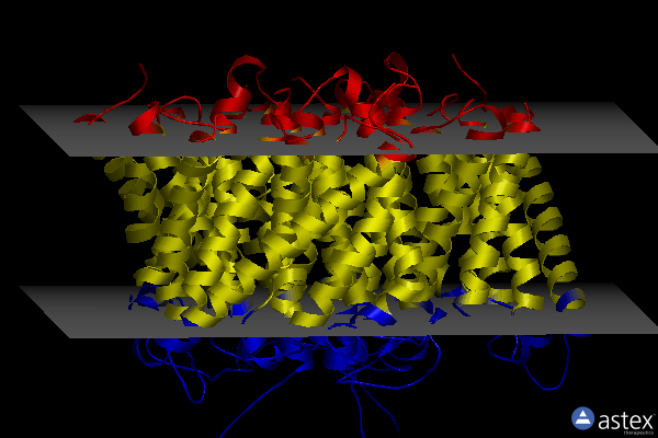 Membrane view of 2npg