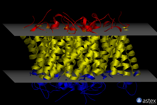 Membrane view of 2npk