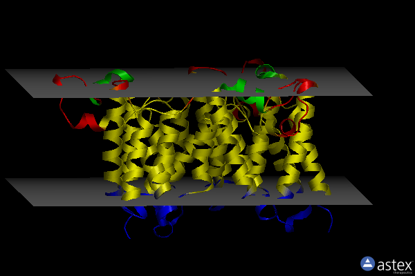 Membrane view of 2nrf