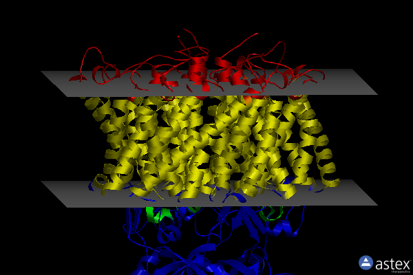 Membrane view of 2ns1