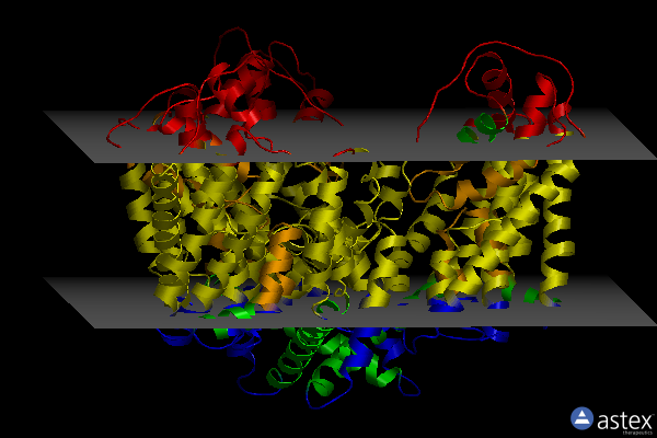 Membrane view of 2nww