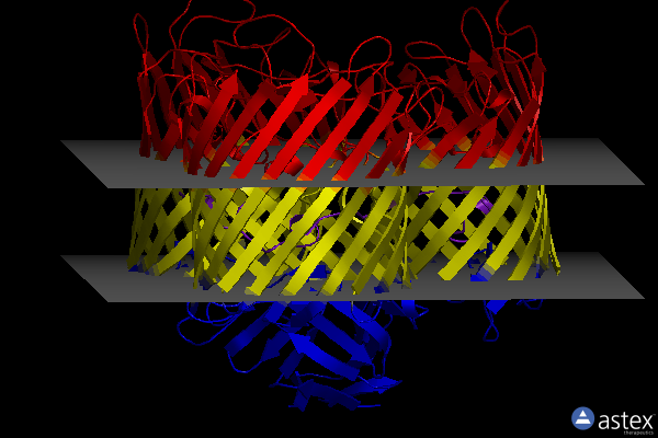 Membrane view of 2o4v