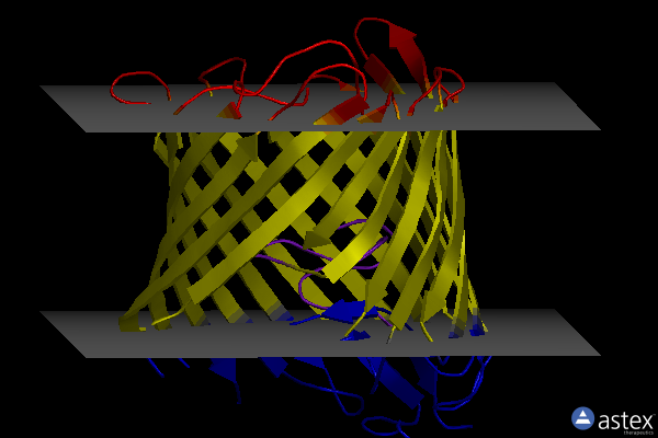 Membrane view of 2odj