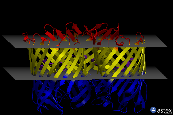 Membrane view of 2omf