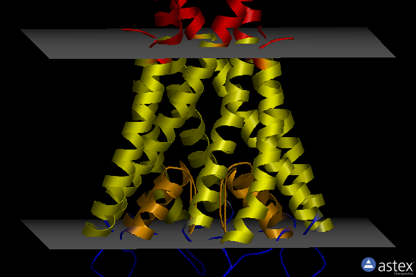 Membrane view of 2p7t