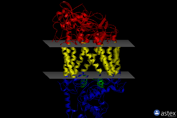 Membrane view of 2prc