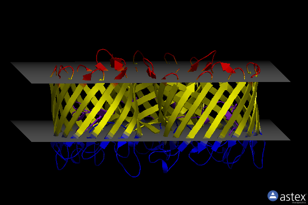 Membrane view of 2prn