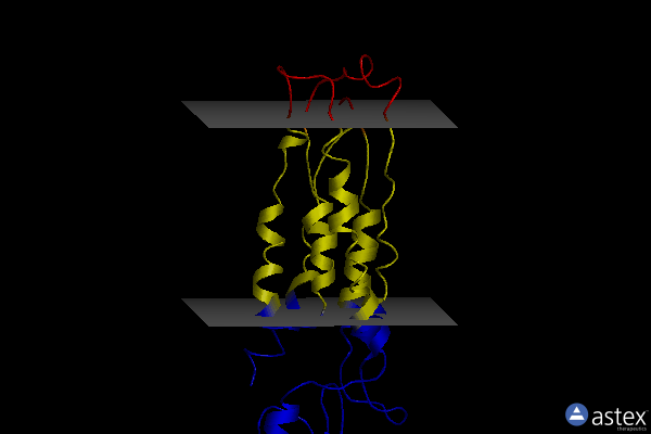 2qfi