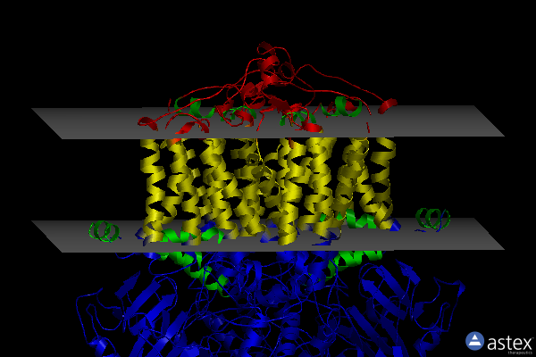 Membrane view of 2qjp