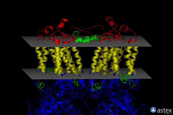 Membrane view of 2qjy