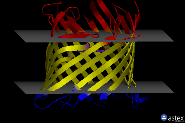 Membrane view of 2qtk