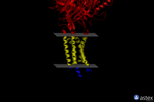 Membrane view of 2qts