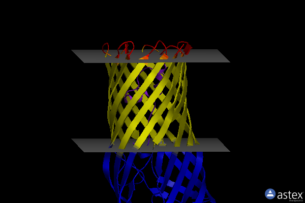 Membrane view of 2r4n