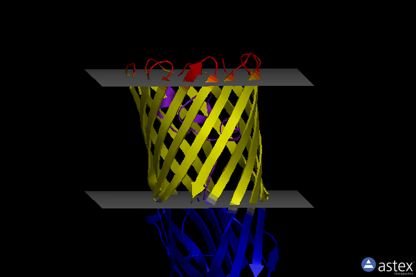 Membrane view of 2r4p