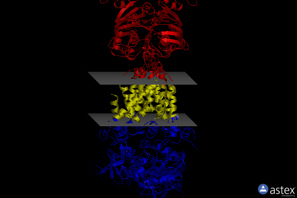 2r6g