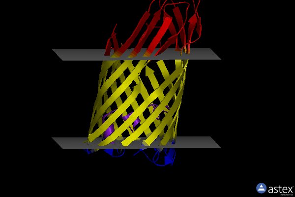 Membrane view of 2r8a