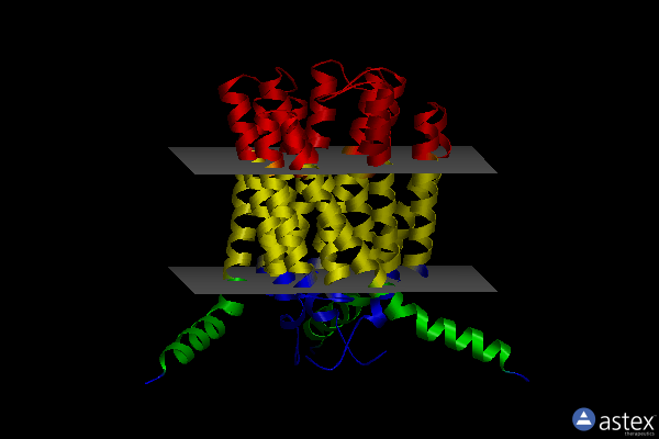 Membrane view of 2uuh