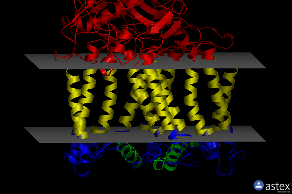 Membrane view of 2uwt