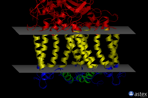 Membrane view of 2uwv