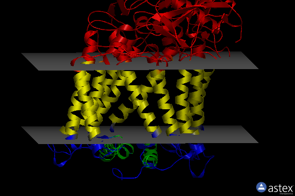 Membrane view of 2uxj