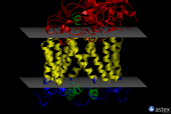 Membrane view of 2uxk