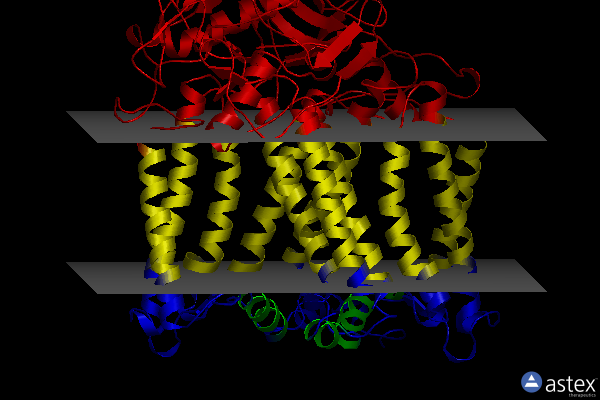 Membrane view of 2uxm