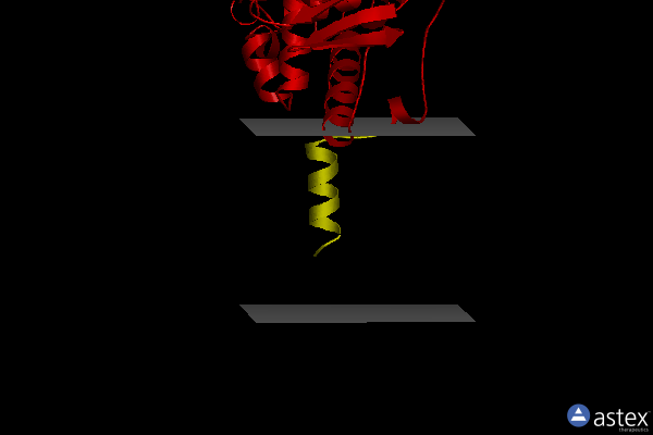 Membrane view of 2v61