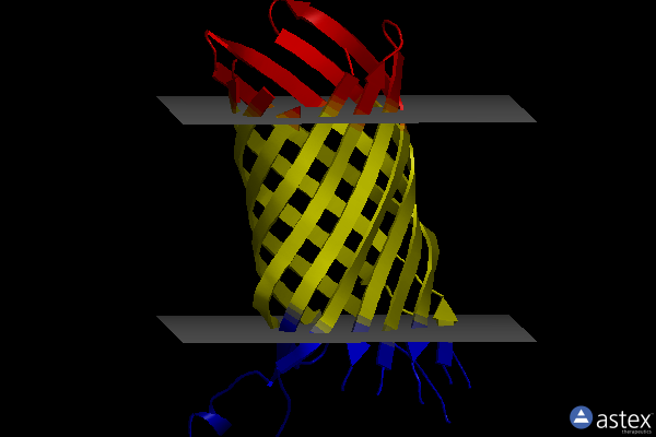 Membrane view of 2vdf