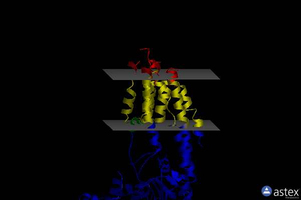 Membrane view of 2voy