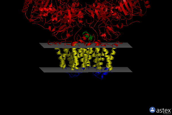 Membrane view of 2vpx