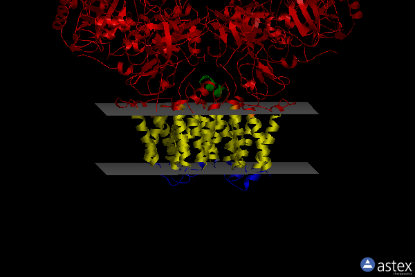 Membrane view of 2vpz