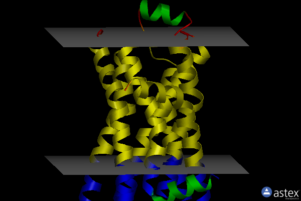2vt4
