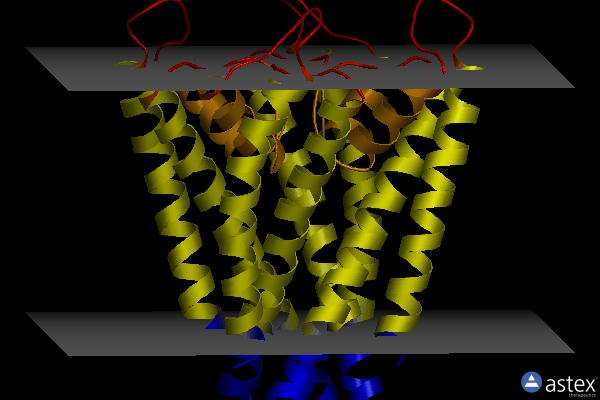 Membrane view of 2w0f