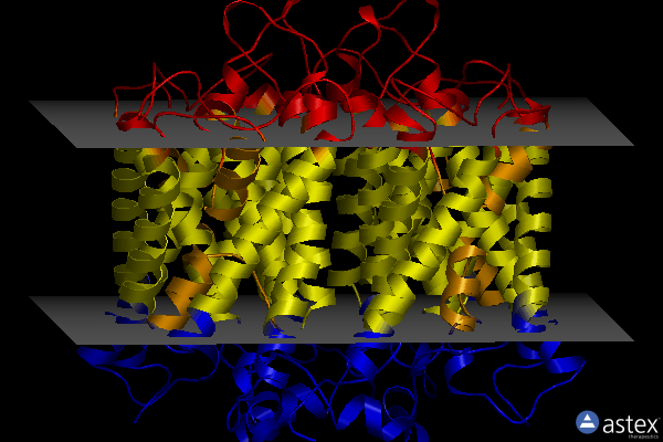Membrane view of 2w2e