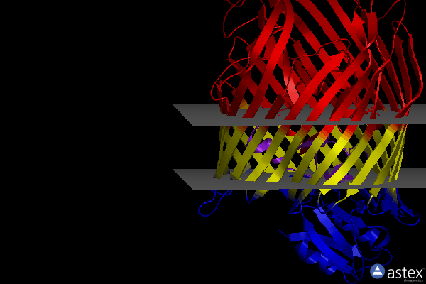 Membrane view of 2w6u