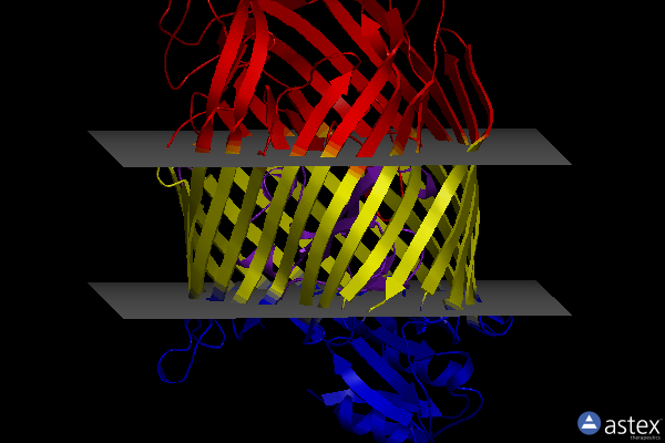 Membrane view of 2w77