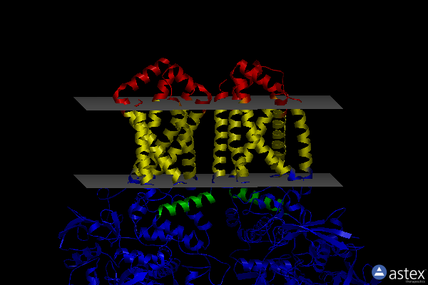 Membrane view of 2wdq