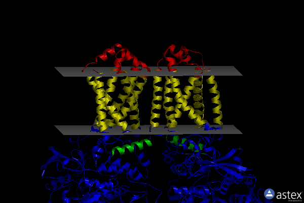 Membrane view of 2wdr