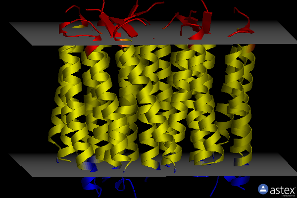 Membrane view of 2wjk